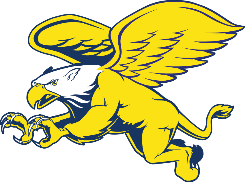 Canisius Golden Griffins 1999-2005 Secondary Logo iron on transfers for clothing